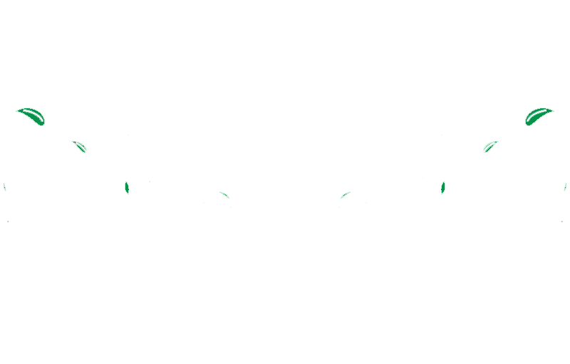 arran p landscaping logo truro ma